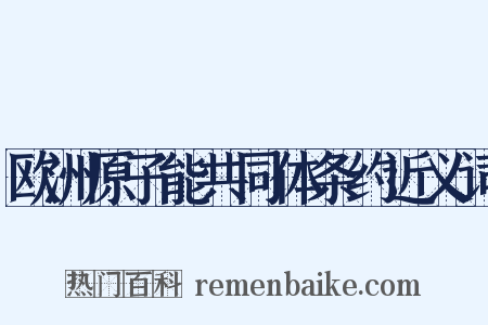 欧洲原子能共同体条约近义词是什么意思的图片